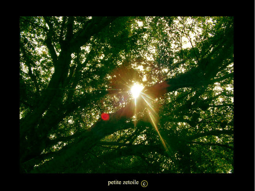 24588 (a): :1024x768
